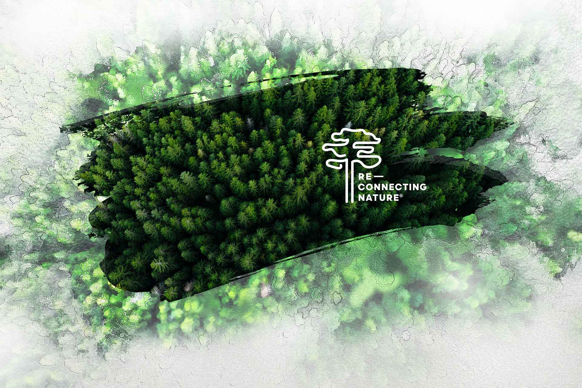 Forest and Re-Connecting Nature logo.